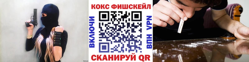 КОКАИН FishScale  купить наркотики сайты  Болотное 