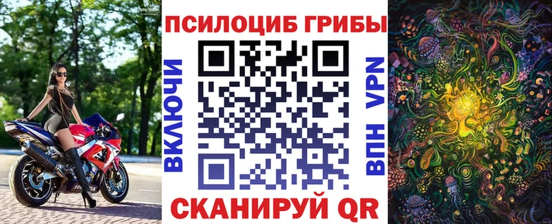 Галлюциногенные грибы прущие грибы  Болотное 